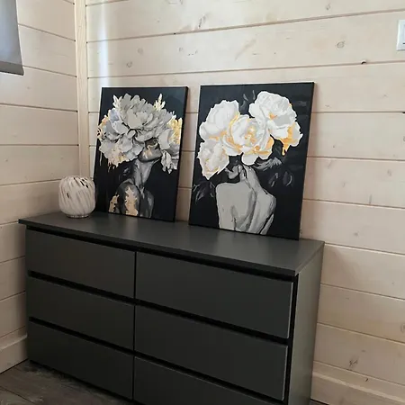 Nad Zalewem Deluxe Feriehus
